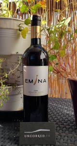 Emina Atio Ribera del Duero 2006