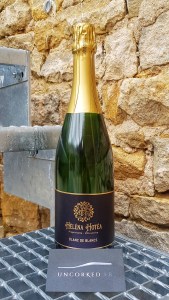 Helena Hotea - Blanc de Blancs