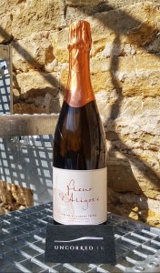 Céline &amp; Laurent Tripoz - Fleur d'Aligoté