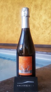 Champ Divin - Crémant du Jura Zéro Dosage 2018