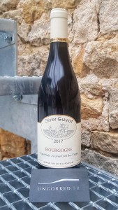 Olivier Guyot - Bourgogne Cuvée Clos des Vignes 2017