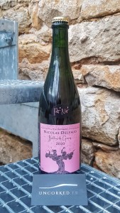 Nicolas Delfaud - Bulles de Gamay 2020