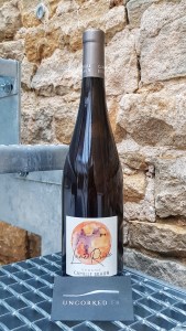 Camille Braun - Lune Rousse 2019