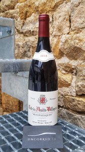Domaine Jean-Marc Millot - Côtes de Nuits-Villages Aux Faulques 2018
