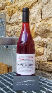 Domaine Wilfried - Vin de Copains 2021
