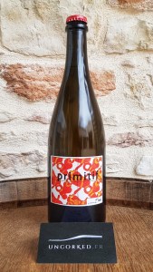 Sébastien David - Primitif 2020