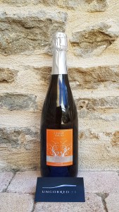 Champ Divin - Crémant du Jura Zéro Dosage 2021