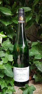 Brogsitter - Bio Riesling trocken 2021